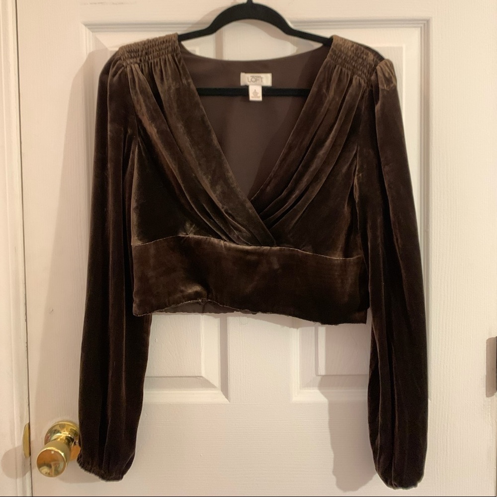 Loft velvet long sleeve crop, deep v neck line